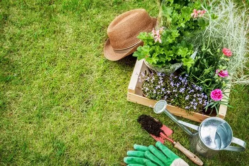 Horticulture & Gardening Services